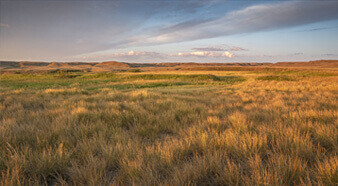 Great Plains, Eastern OK, and Southern Plains Regions